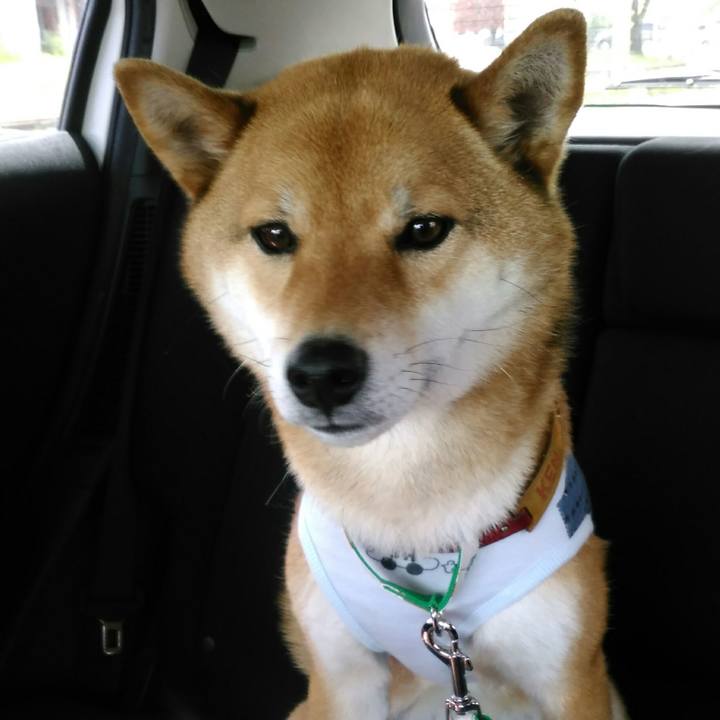 35d7cf53 1c31 4120 b062 4cb71e429e9e