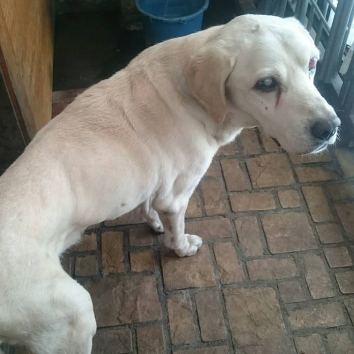 35d8124e d1a8 424f b509 ca559d805dfa