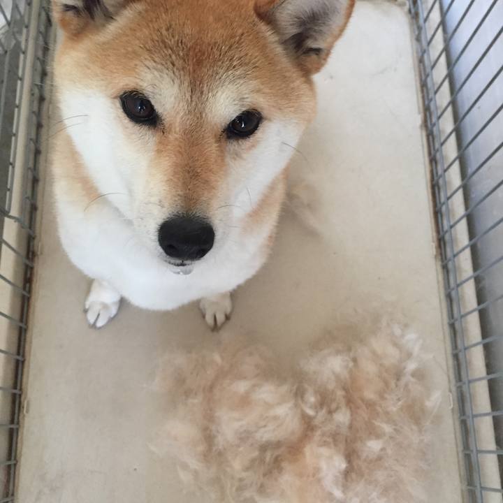 35d88c50 2742 4b70 bcac a86f040cf707