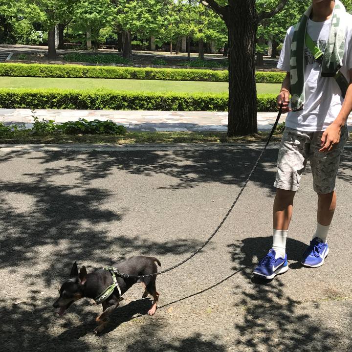 35d88f8c 96a5 4066 80e0 4dc4ea9d53ef