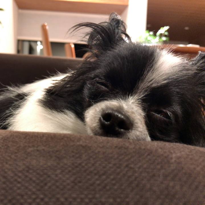 35d8d7d5 2c33 4b29 b632 a2fd33913420