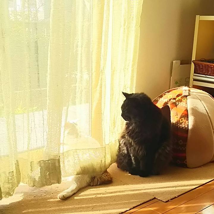 35d8f4df ac3c 4cd8 8967 f547d69c55f4