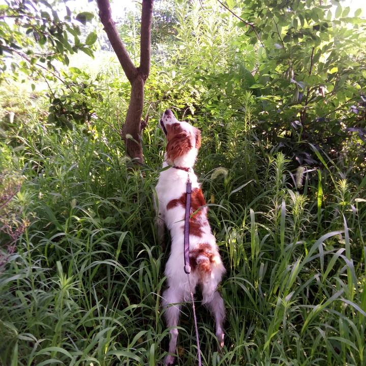 35d9d397 dc98 4ea1 9dc4 d840e8eeed5c