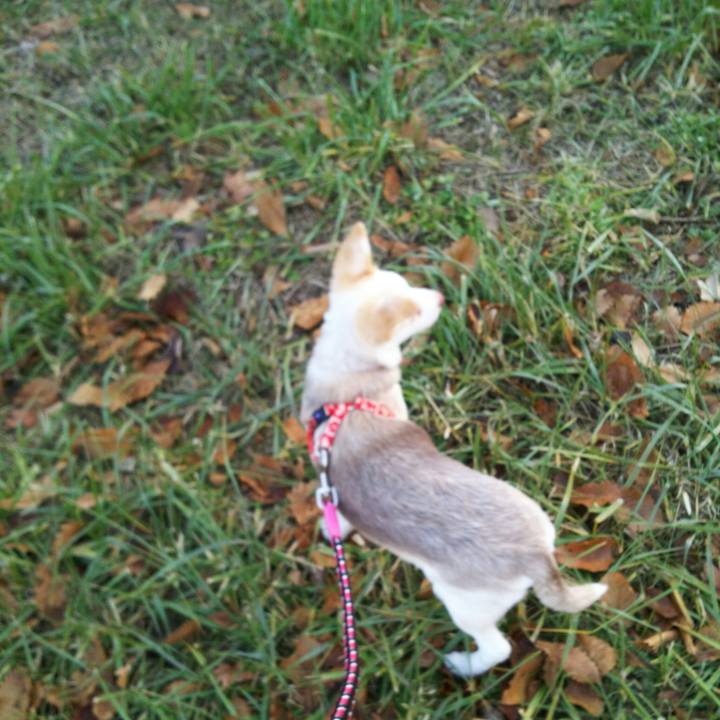 35daed92 e908 4d8e 9581 4cf1ffaca189