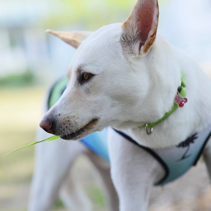 35dafe53 73e6 4b49 85b2 2ac10906d4e0