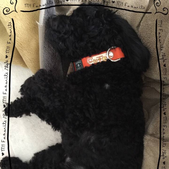 35db6097 8360 4e73 899b b8f5bac7e752