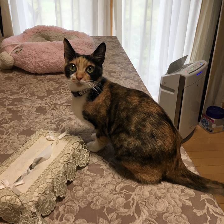 35dc48d8 b852 4e94 83c6 68a112e34936