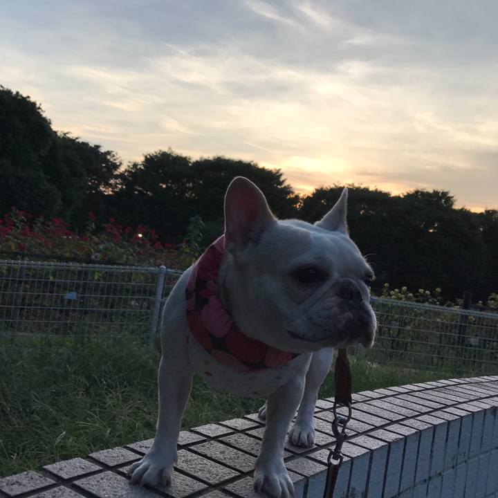 35dc911b 9b8f 40fd a4b7 5a5f1d514f67