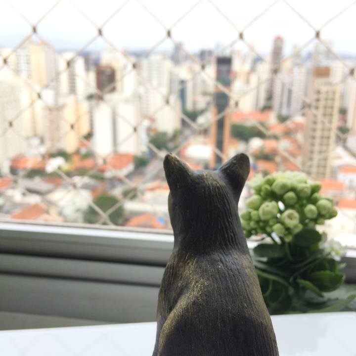 35dcd9f2 95d5 48f8 a9b8 01f709f0a597