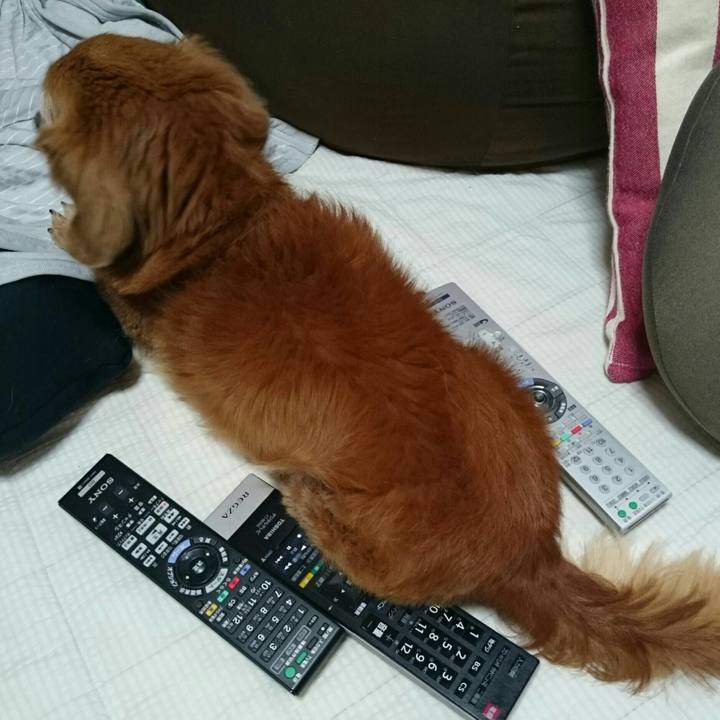 35dd02bd 5259 40f4 9087 18816607d708