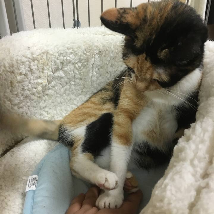 35dd20f2 3d39 46d3 a755 5a4d04de9d91