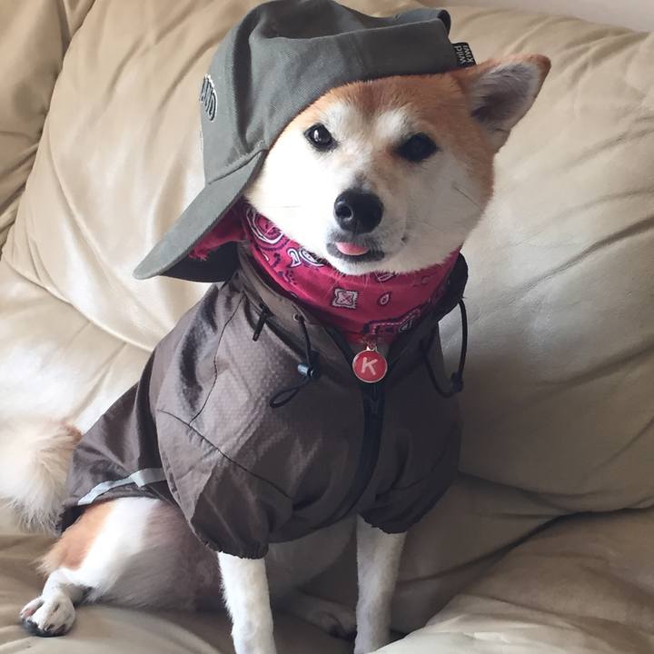 35dd98e2 16b5 4fef b615 1c670ecf45c1