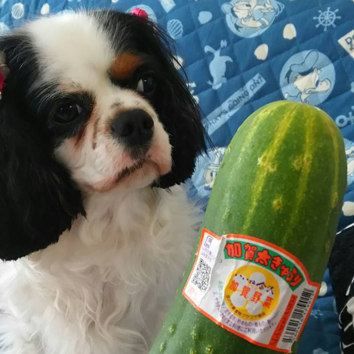 35ddf9fa 9105 4954 9780 be62fd645230