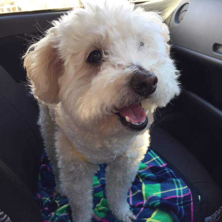 35de1afd c6e5 489b b34a d21f303838f3