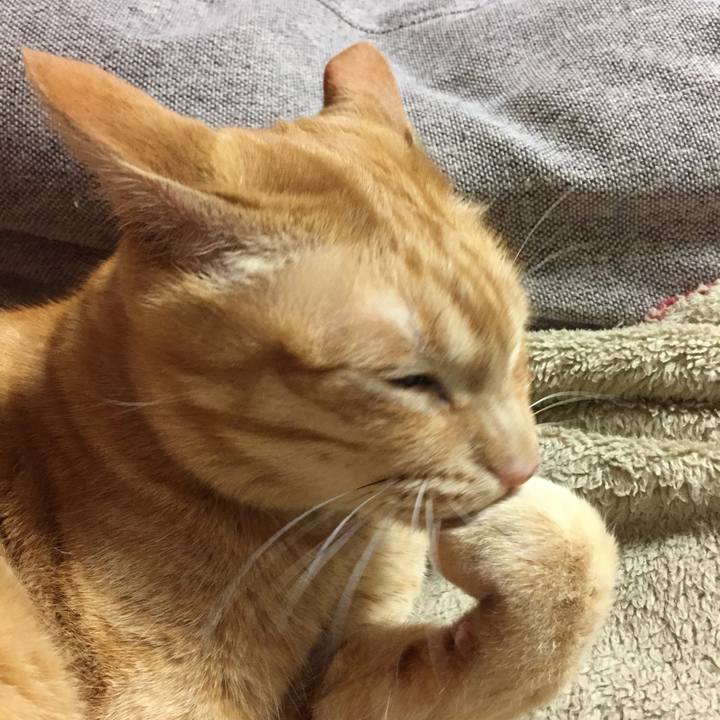 35df5c8a da2e 42b9 b68a 48295ad15292