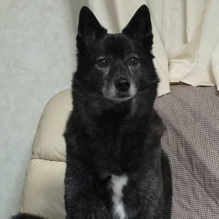 35e0c451 5930 44bb 83af 825cfbf66d85