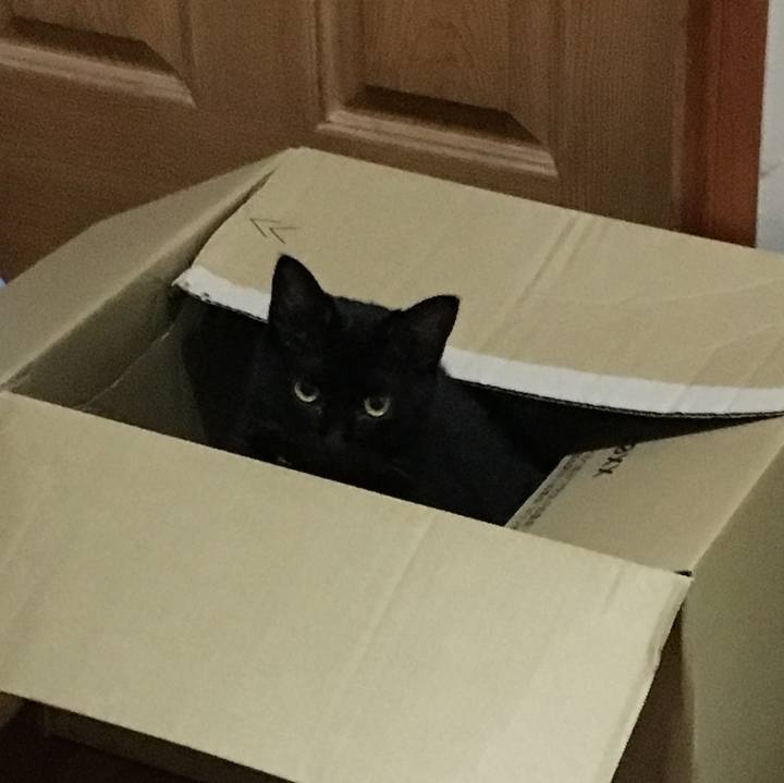 35e21223 5611 4e29 a70a e6f3b691619a