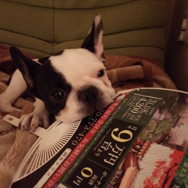 35e2733d 0533 4932 892e 6bfc134080b6