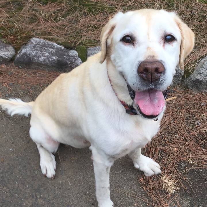 35e2cd2f 292b 4ce1 98c1 394044600658