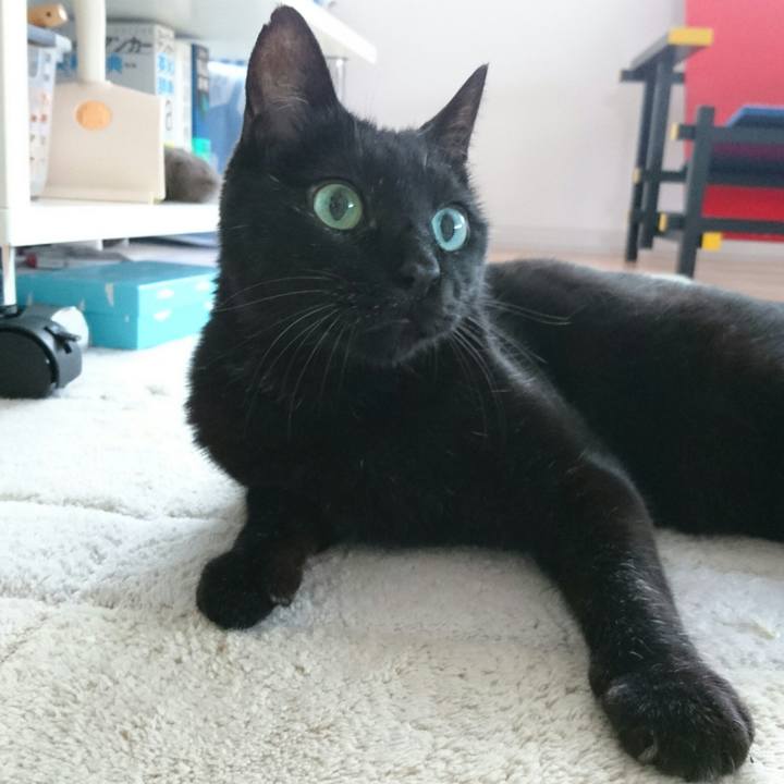 35e34e2a efea 4bb7 b316 31b36d6f47ef