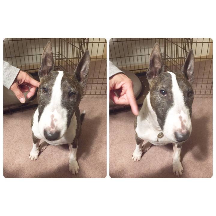 35e35637 4c7e 452d aada 9a260ce56152