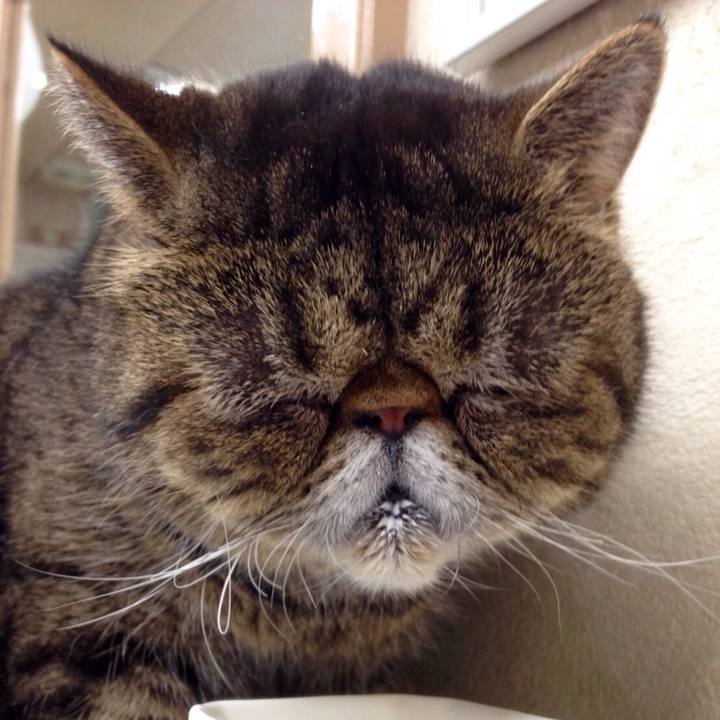 35e37c01 3bb3 4222 89e5 69af1b9670ef