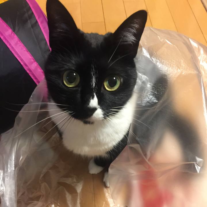 35e38bcf 15e0 46bc 9e6c 462b42801e2f