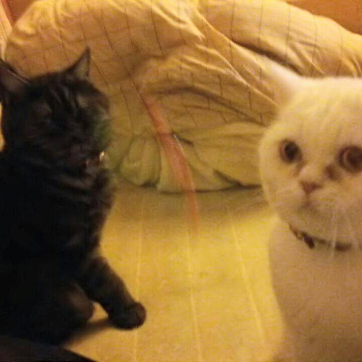 35e3dce6 376c 4cab 930d 72f3c4ff55ae