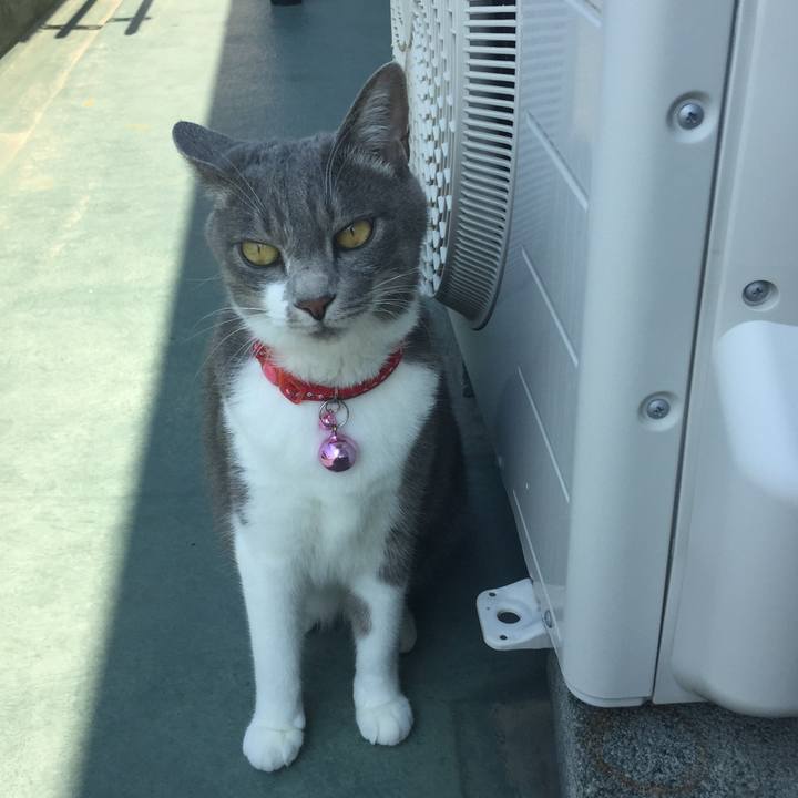 35e3e019 14a7 4449 a64a a252505d5a65