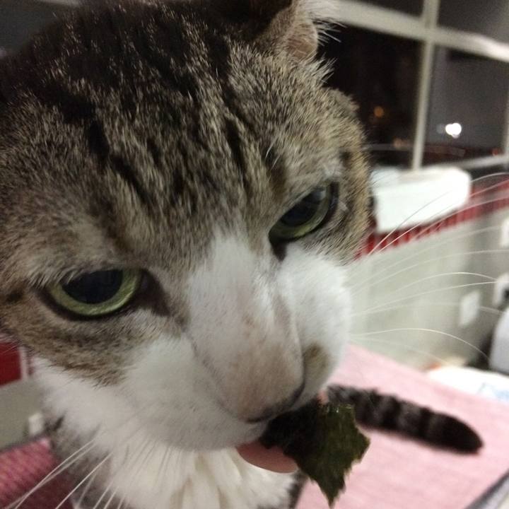 35e3efe6 63d8 41d0 a311 a54391bc0d26