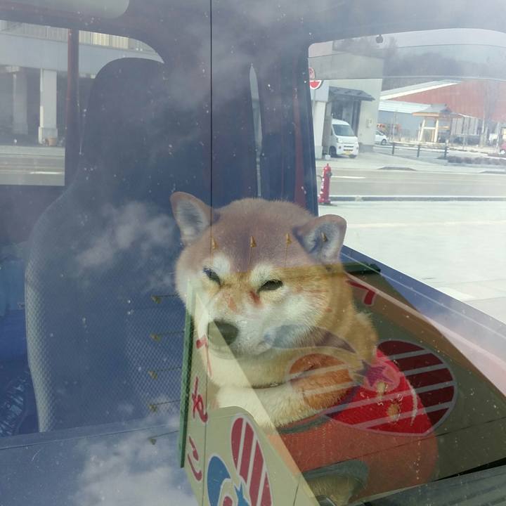 35e41d09 8cce 40ea 9ca5 7f77880e3f79