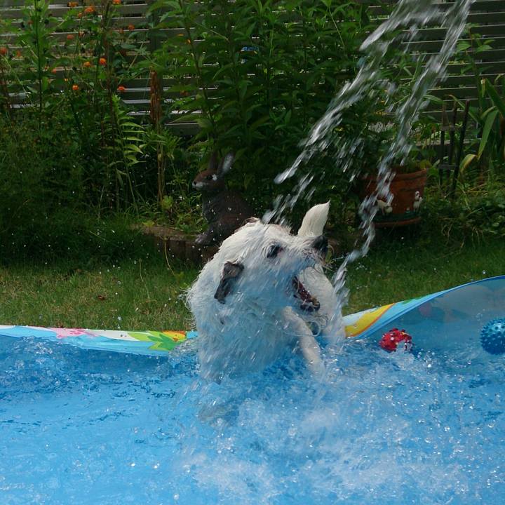 35e5088e 9ac2 4dd5 ba65 19ed38542363