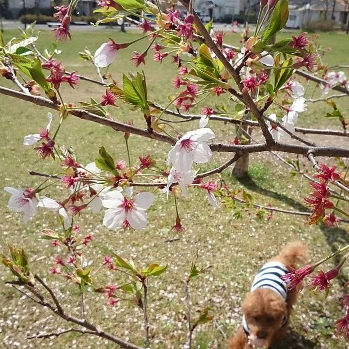 35e57049 7839 48d0 8bca d384d5573426