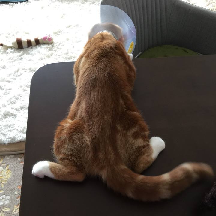 35e5b41c 2cae 4252 b7b5 f85a2419707b