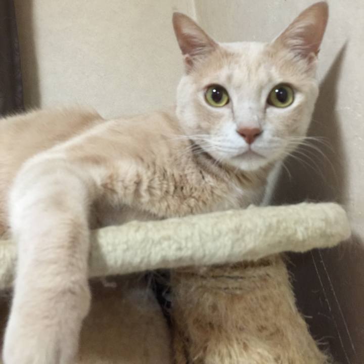 35e622de 6ecb 4c05 8923 859bddff5e75