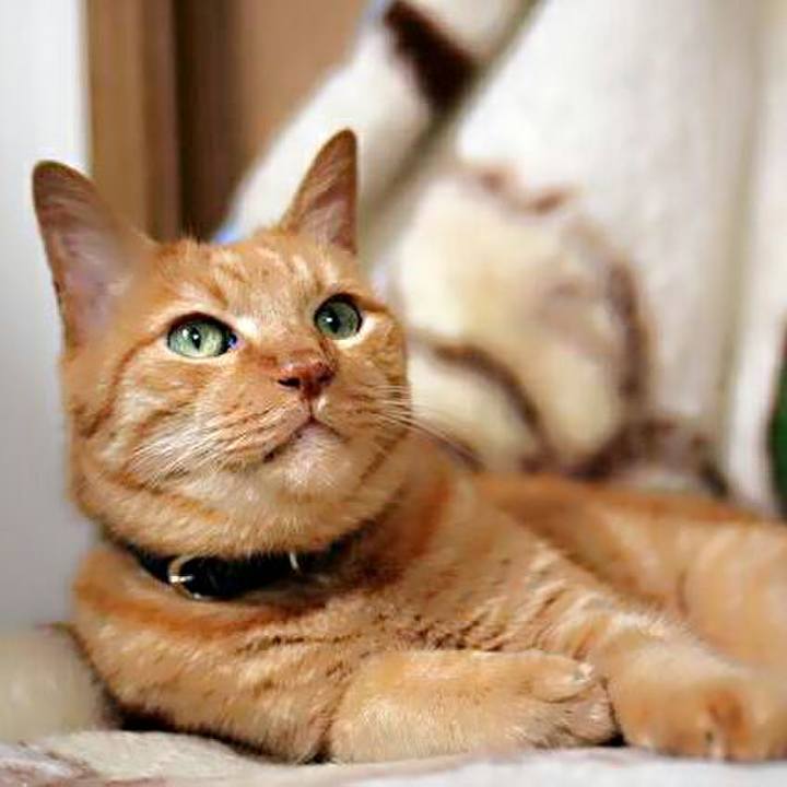 35e718ba a406 47dd a490 7d097117c23a