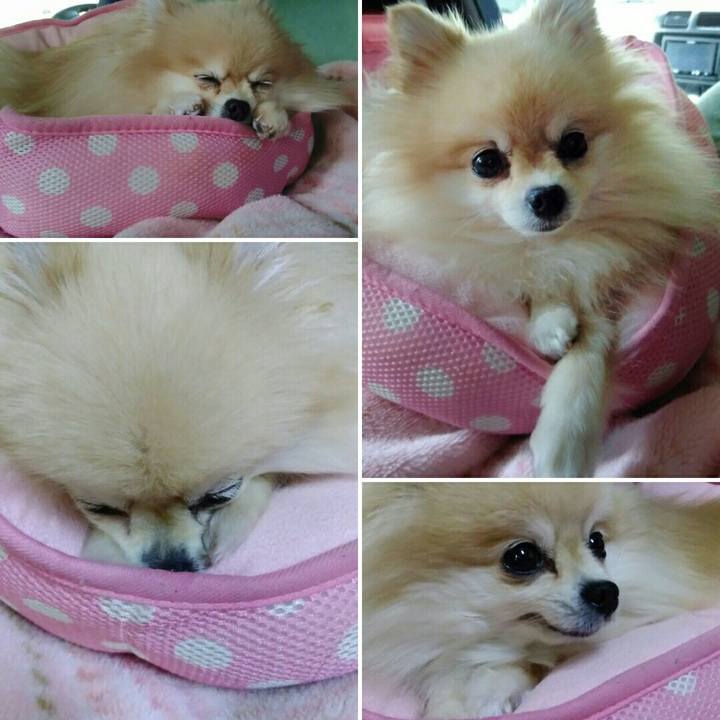 35e72bdd 0789 440c 93ae 6d0c6e54456e