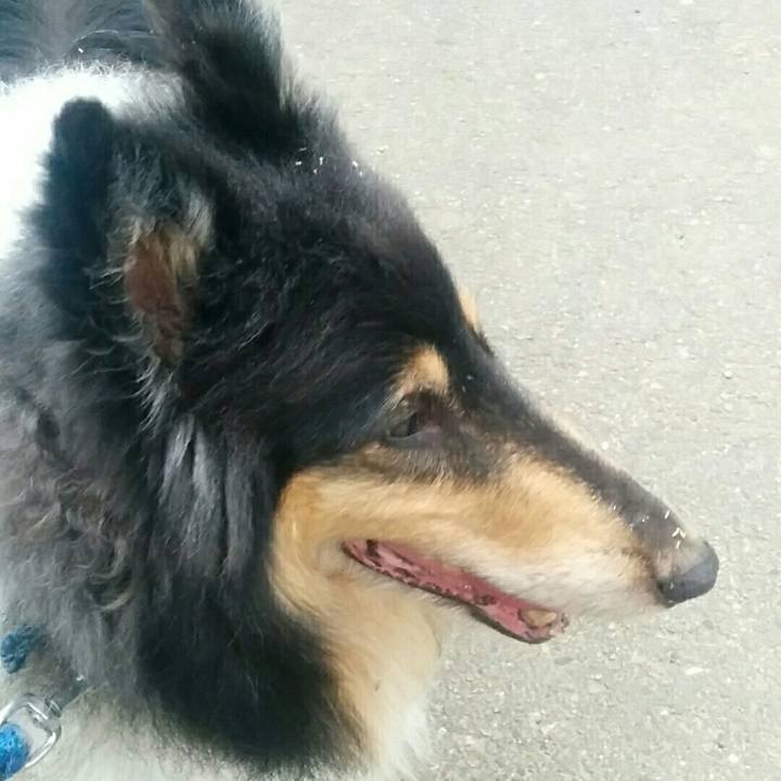 35e75954 3cc5 4a61 8121 e2c3dae22495