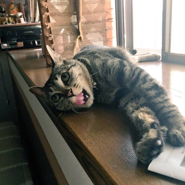 35e82249 57ac 4265 9fe5 668b203db13c