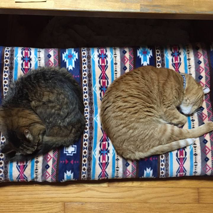 35e84d50 9eac 41f1 a544 ac379312d2bd