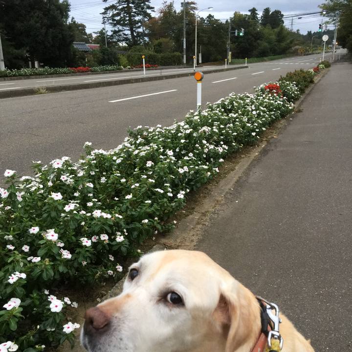 35e88f90 6b4c 41da b81f 1333d39d73bd