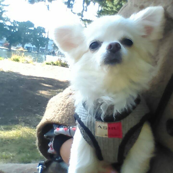 35e9066b 5ff4 4451 ab31 d7bba21b7120