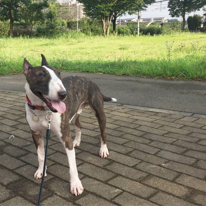 35e91fd7 cf1d 4bae 9002 56e344b09123