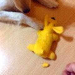 35e96535 6956 4b06 b79a b5e67720301e