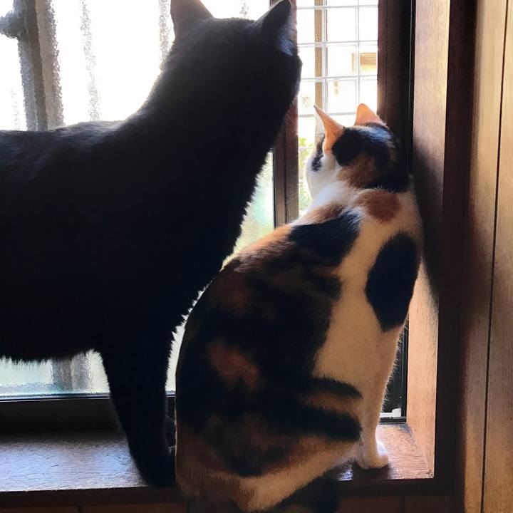 35e9ce69 66bb 4b1c 9a78 f3ae04287ae9