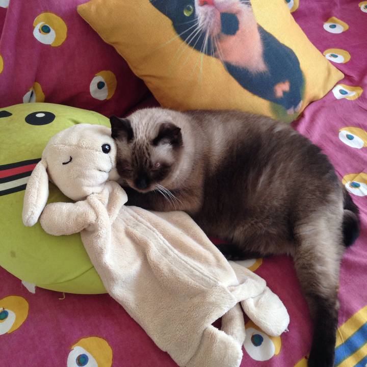 35ea4c81 d049 4e21 919d 4150f92b3c8a