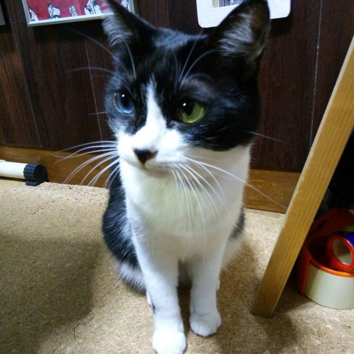 35eaa322 1723 4368 b569 131343772a6f