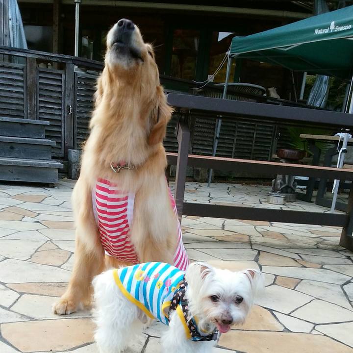 35eae824 9036 4429 98d2 71ab2732cdc8