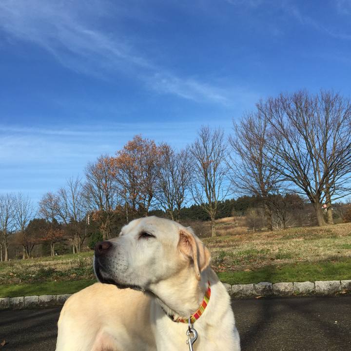 35eb6146 f8a9 43de b67d a8d8be6a3b25