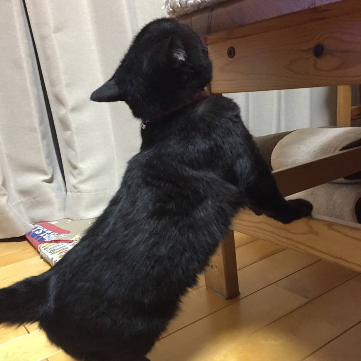 35eb680e e58e 4290 84bd b4e69d23ecb3